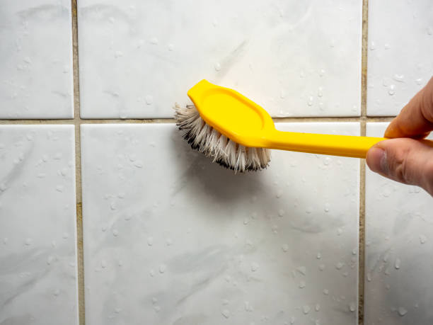 Best Residential Mold Removal  in Meadowdale, WA